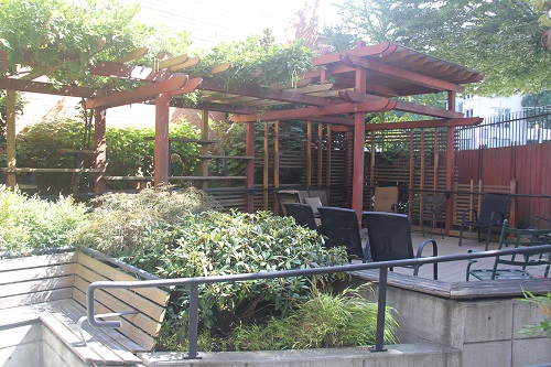 Japanese Manners Japanese Garden