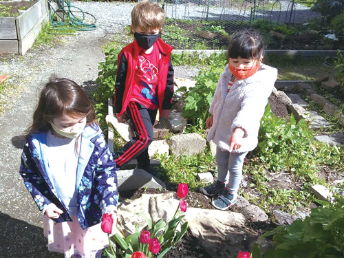 遊学舎・菜園