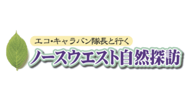 ロング・ドライブで自然探訪（ウインター編）