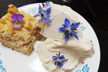 食べられる花を育てよう